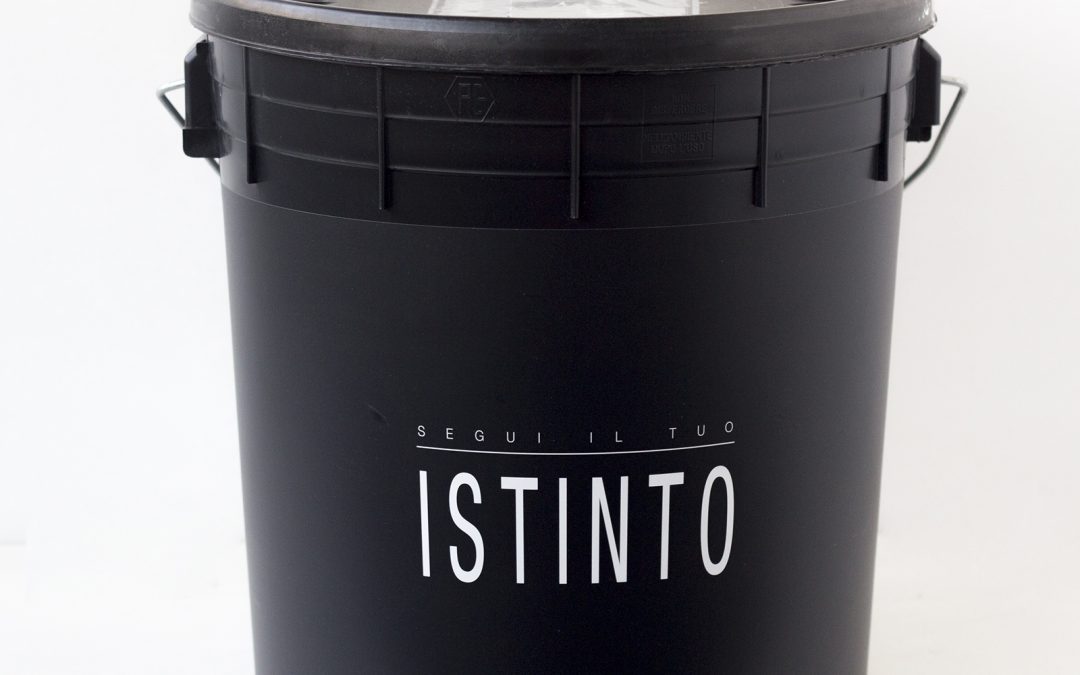 SEGUI IL TUO ISTINTO